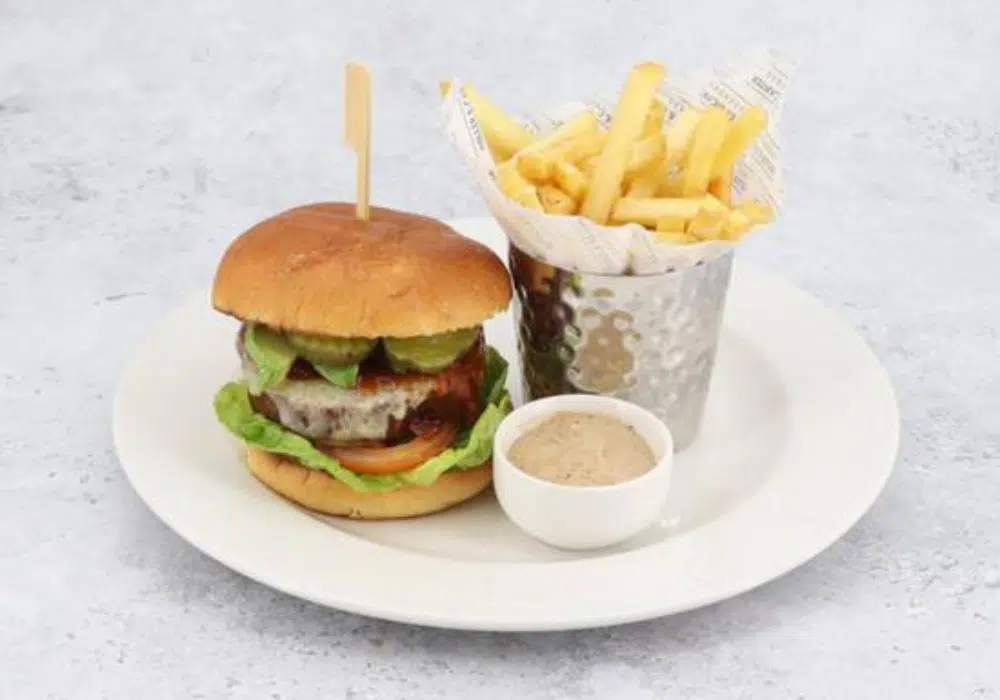 SUNSHINE PLANT BURGER (VE)